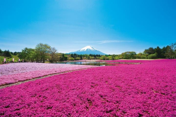【期間限定】富士芝桜まつり入場券付　1泊2食